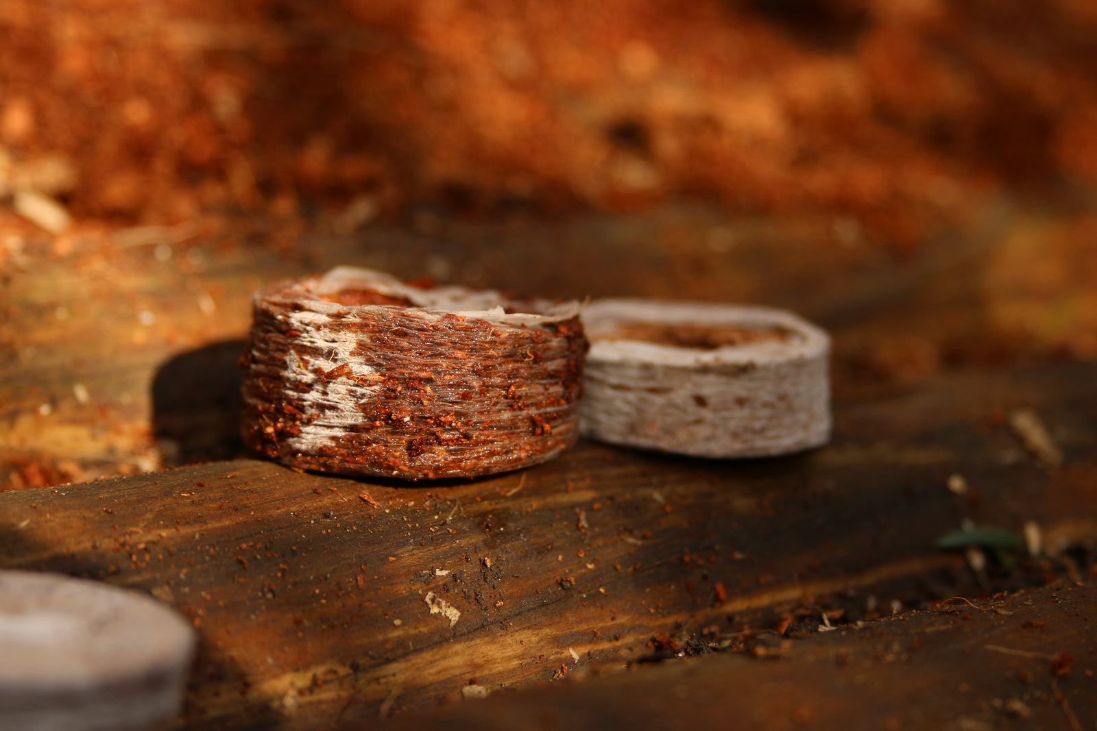 Coircoins 32mm Pack Of 50