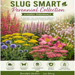 Slug Smart Perennial Collection - 2l Garden Ready Pots. | Set-of-6 | Multi