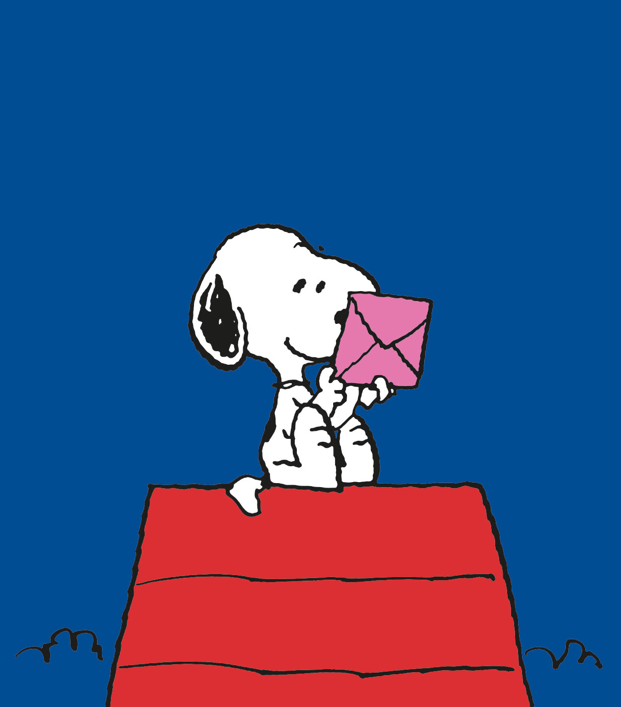 Peanuts Snoopy Blank Card, Birthday, Valentines, Mother's Or Fathers Day Official Product