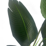 120cm Artificial Uv Traveller Banana Palm Tree