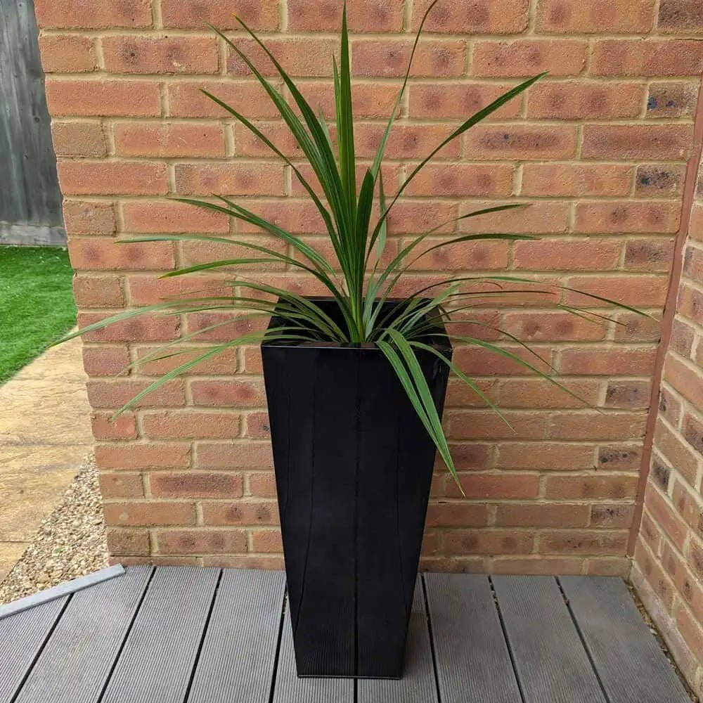 Zinc Galvanised Tall Flared Tapered Square Planter | 30cm x 30cm x 70cm | Glossy Black