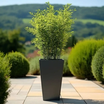 Zinc Galvanised Tall Flared Tapered Square Planter | 30cm x 30cm x 70cm