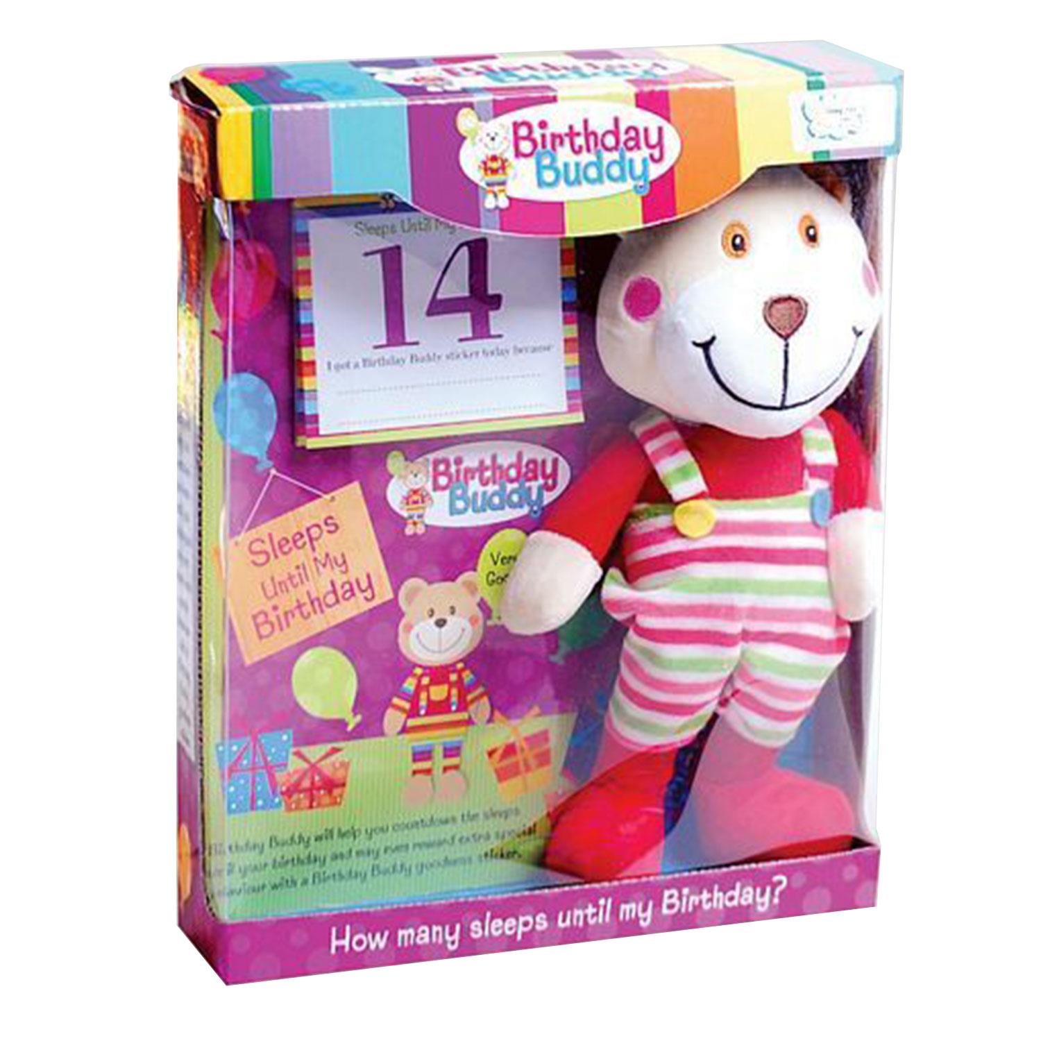 Boy Count Down Birthday Bear Toy