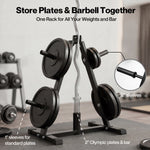 Centra Weight Plate Storage Rack Olympic Plate Holder Gym Weight Stand Tree