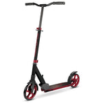 Big 2 Wheel Scooter | Burgundy