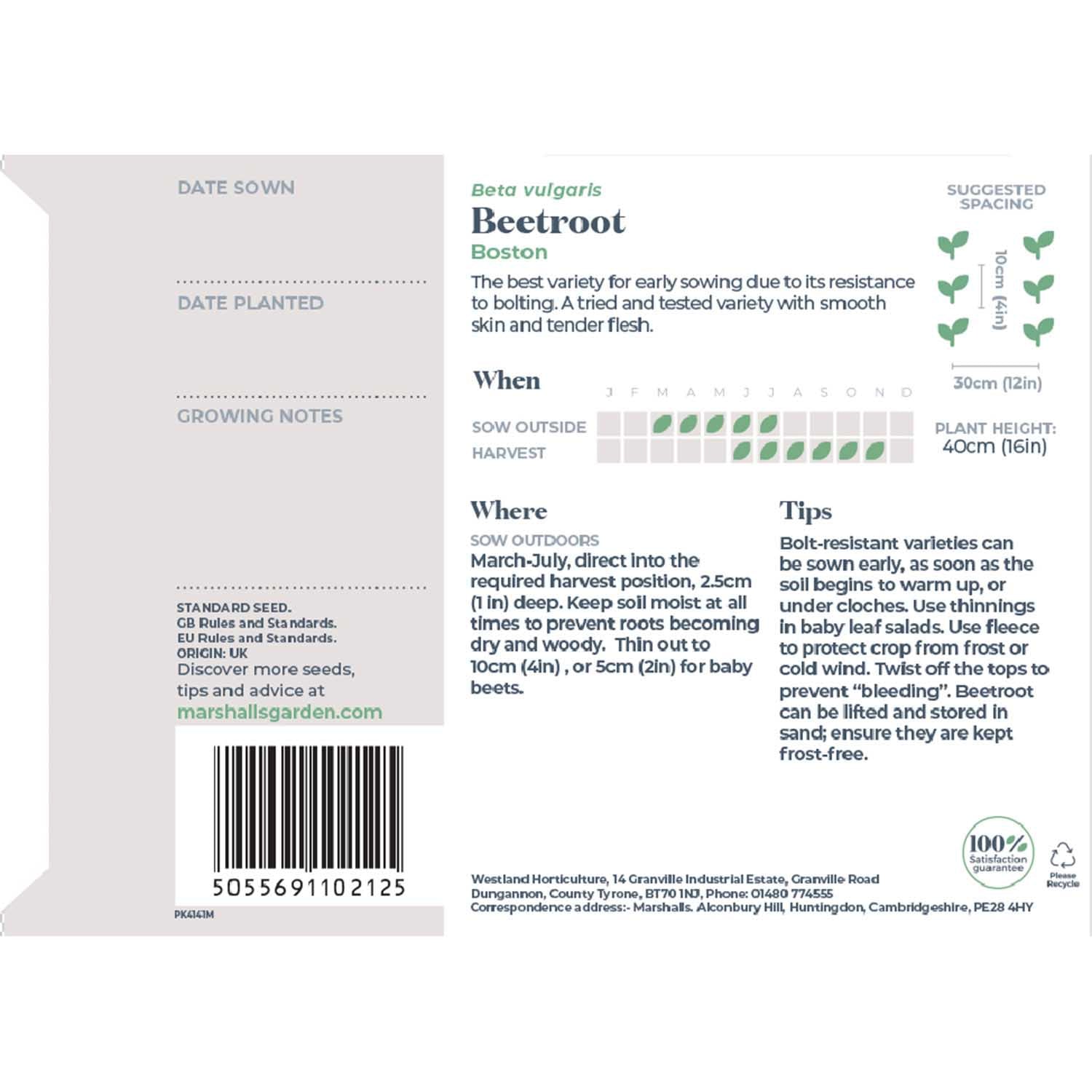 Beetroot 'boston' | 200 Seeds