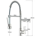 Bath Plus TB+ Kitchen Sink Mixer Tap With Pull-out Spray And Dual Spout