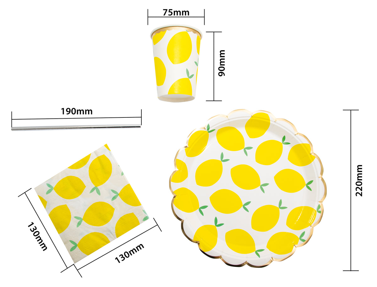 Cheetah 40 Piece Party Tableware Set Lemons