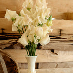 Sweet Pea 'songbird' - Pastel Fragrant Climber Seeds | 15 Seeds