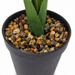 Faux Amaryllis In Pot, 36cm | Red