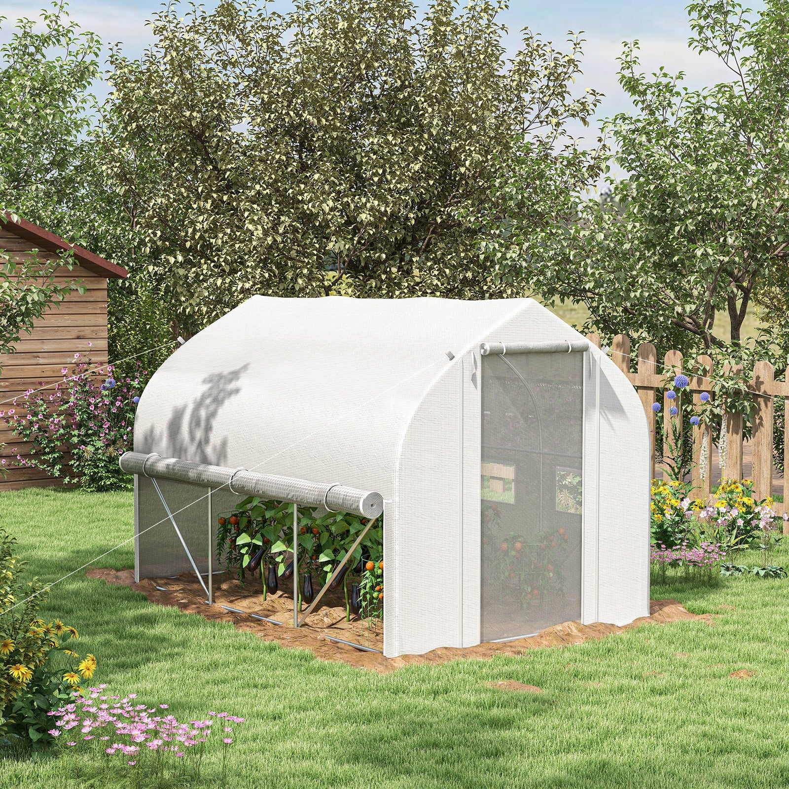 3x2m Polytunnel Greenhouse W/ Sidewalls & Door