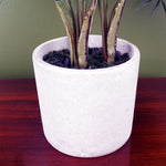 Artificial Tree Plant Palm In Decorative Planter Botanik
