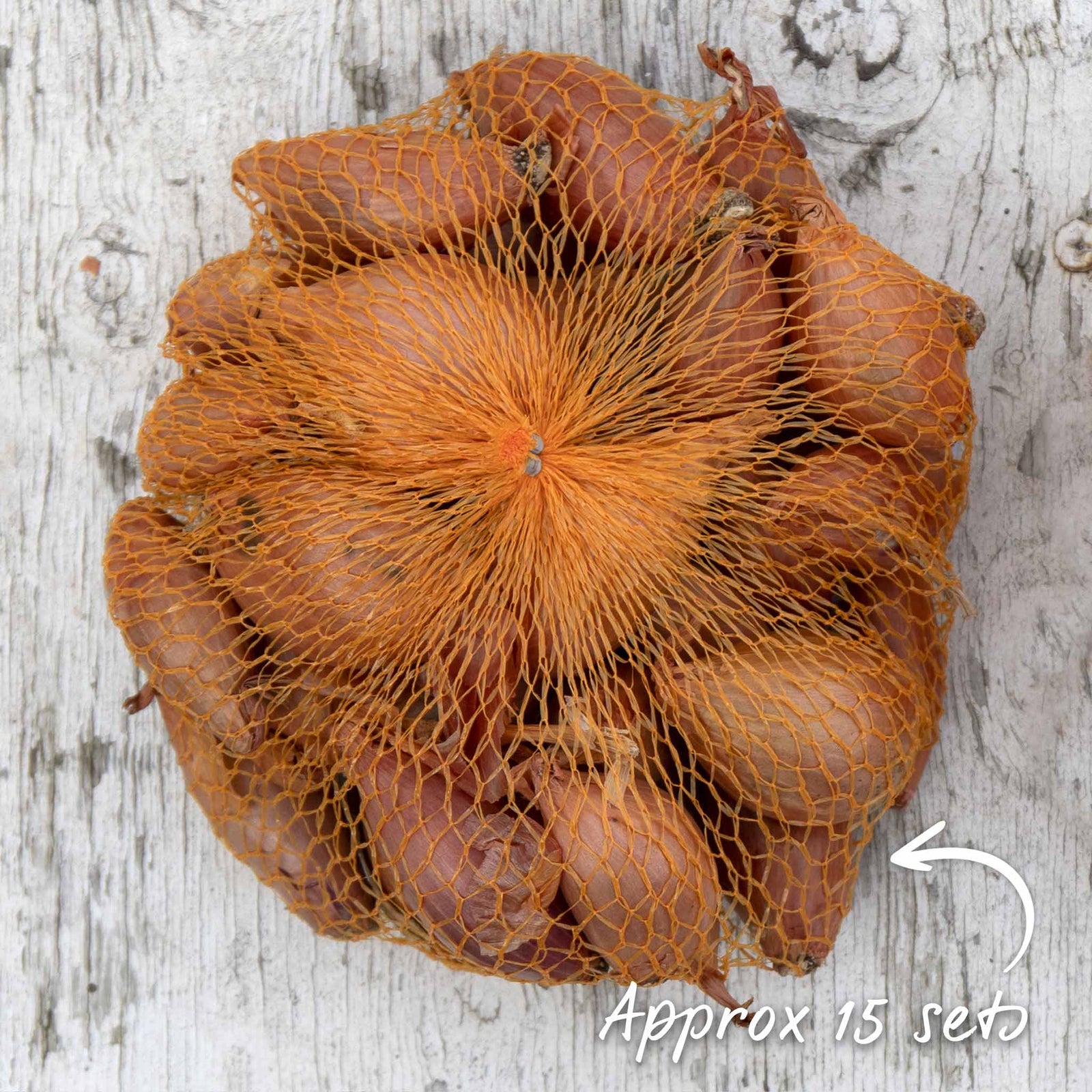 Shallot Sets Jermor (rhs Awarded) | Set of 15