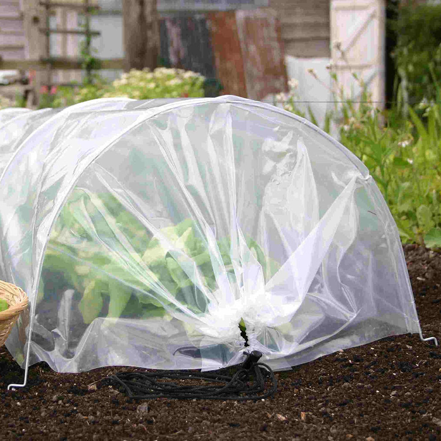 Standard Easy Poly Tunnel 3m Heavy-duty Polyethylene Cover | Clear