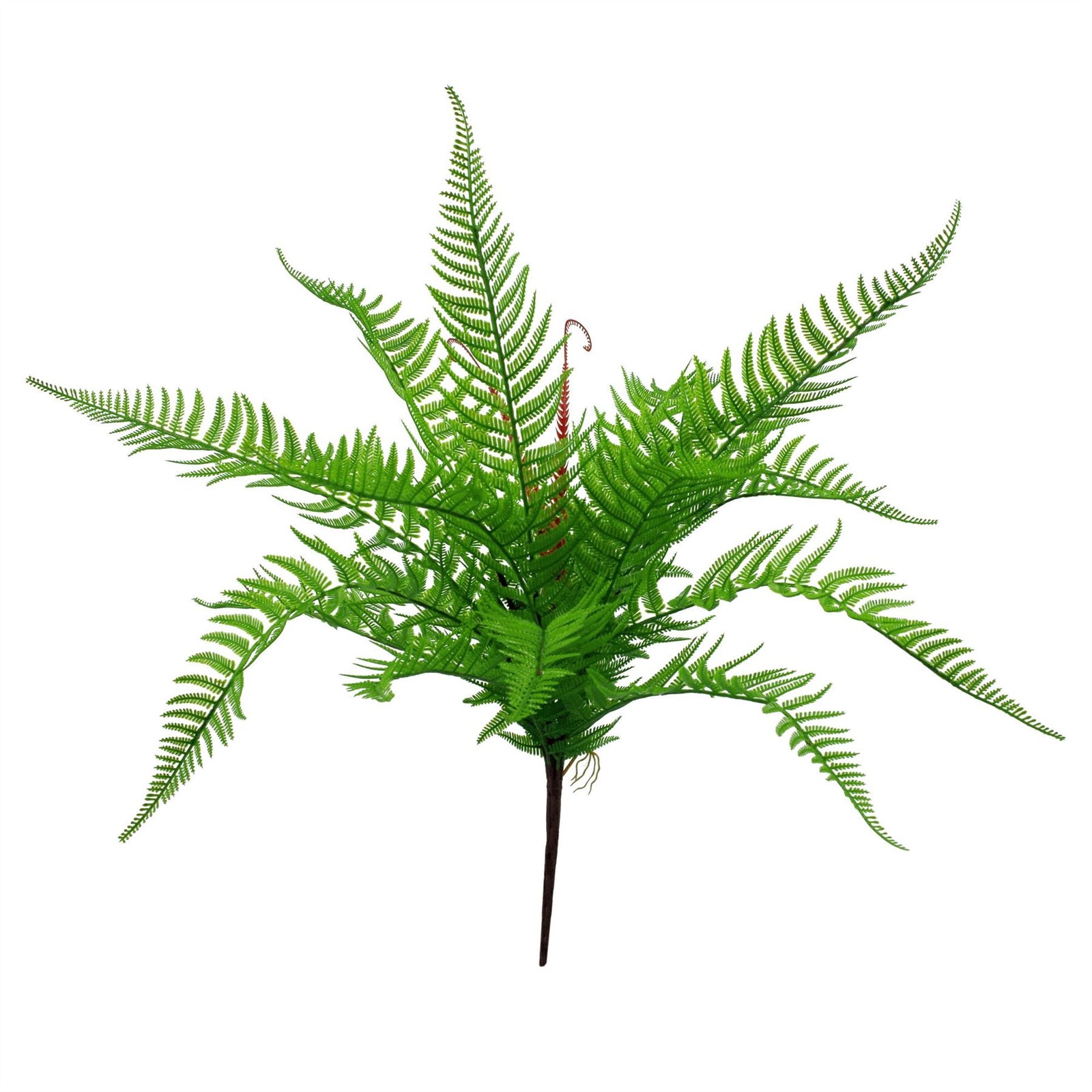 Artificial 60cm Bushy Dixie Wood Fern Dark Green Plant