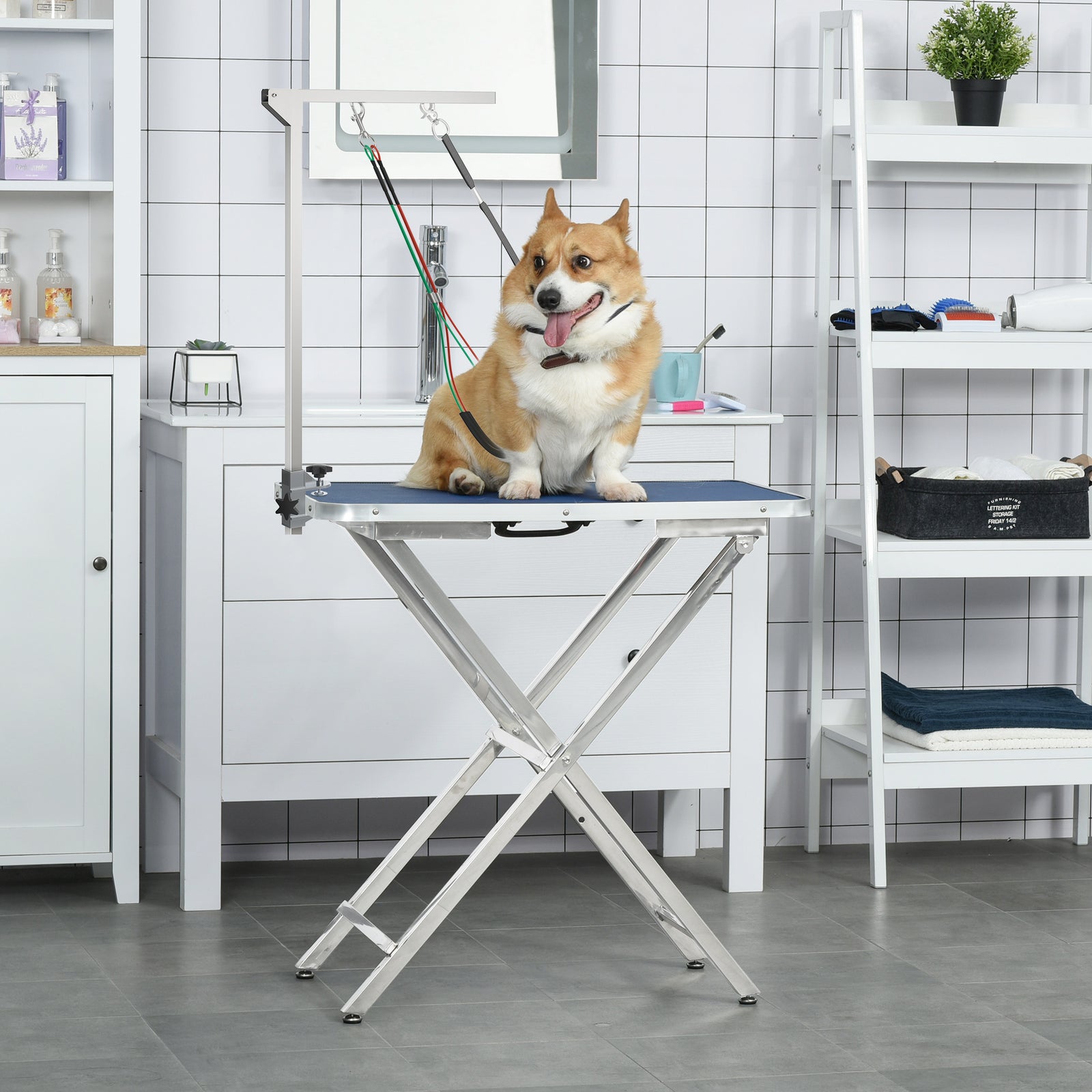 Adjustable Pet Grooming Arm W/ Clamp, Haunch Holders, Grooming Loop