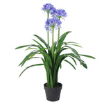 Premium Artificial Agapanthus With Pot Blue 90cm
