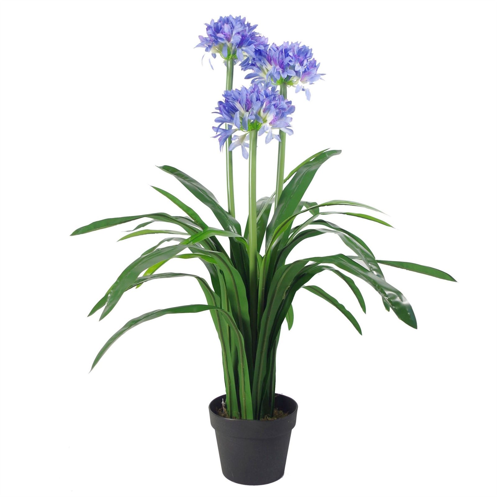 Premium Artificial Agapanthus With Pot Blue 90cm