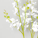 60cm  Design Uk Realistic Artificial Orchid Flower Display In Pot