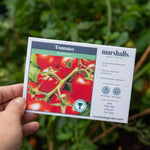 Tomato Seeds 'premio' F1 | Set of 10