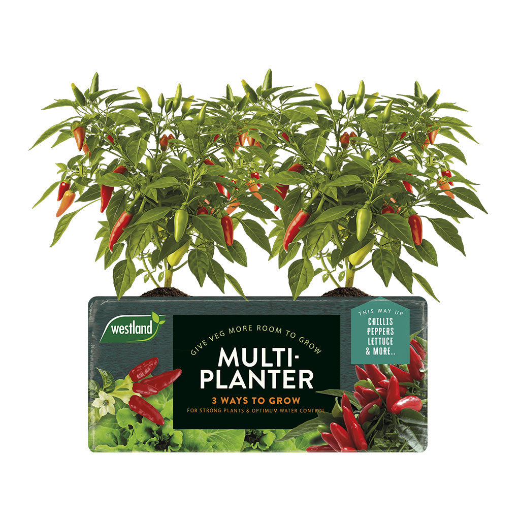 Multi-Planter Peat-free Grow Bag | 40l