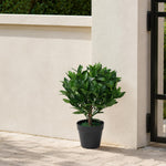 50cm  Design Uk Artificial Realistic Bay Laurel Topiary Ball Tree