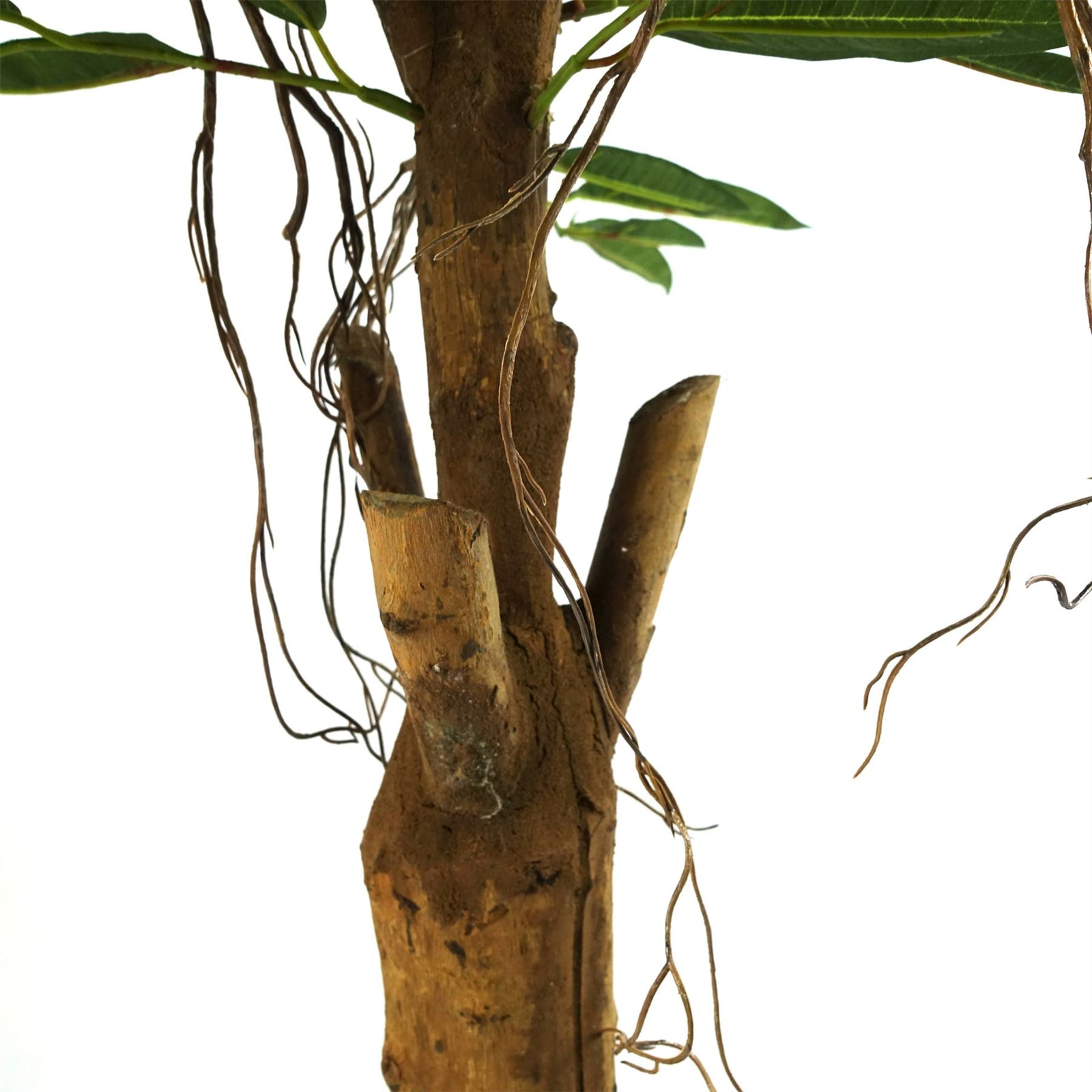 Artificial 100cm Realistic Artificial Tree Longifolia Ficus Natural Trunk