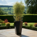 Zinc Galvanised Tall Flared Tapered Square Planter | 30cm x 30cm x 70cm | Matte Black