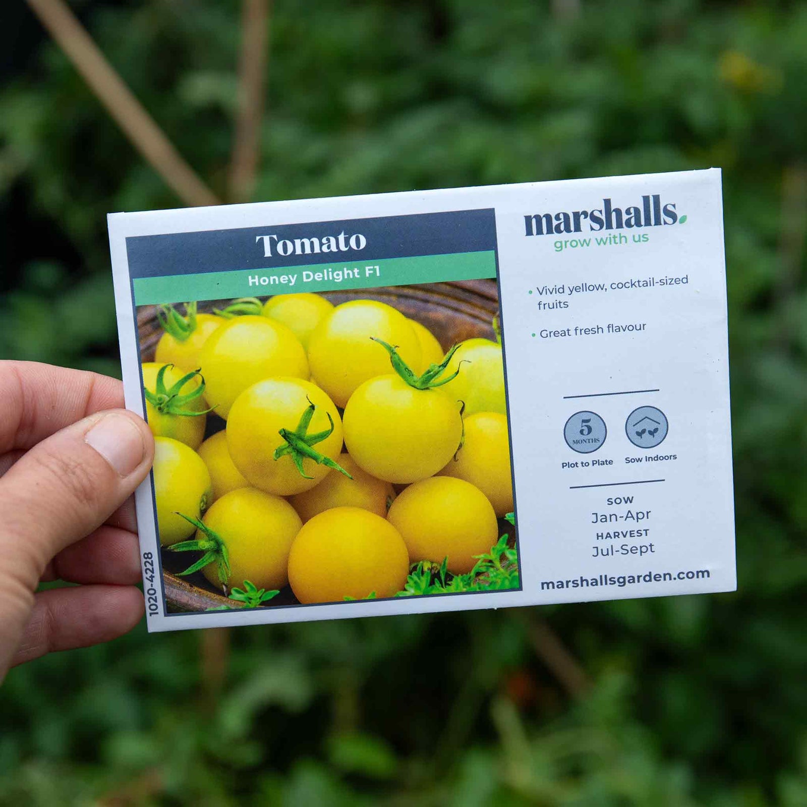 Honey Delight F1 Yellow Cherry Tomato Seeds | 8 Seeds
