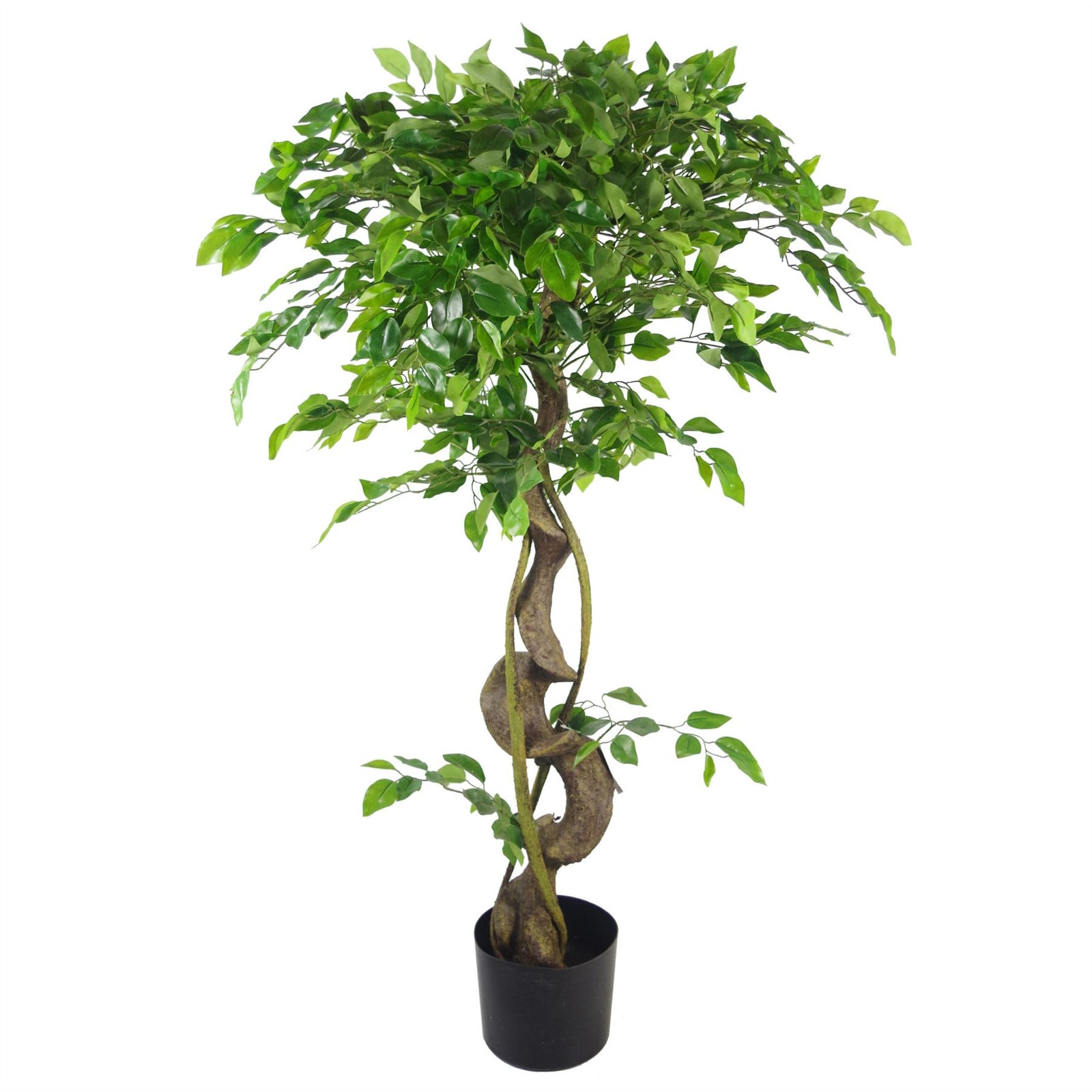 Leaf Large Artificial Japanese Fruticosa Ficus Tree Silver 120cm 4ft Realistic Botanik