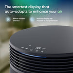 Blueair Blue Signature Large Air Purifier, Navy