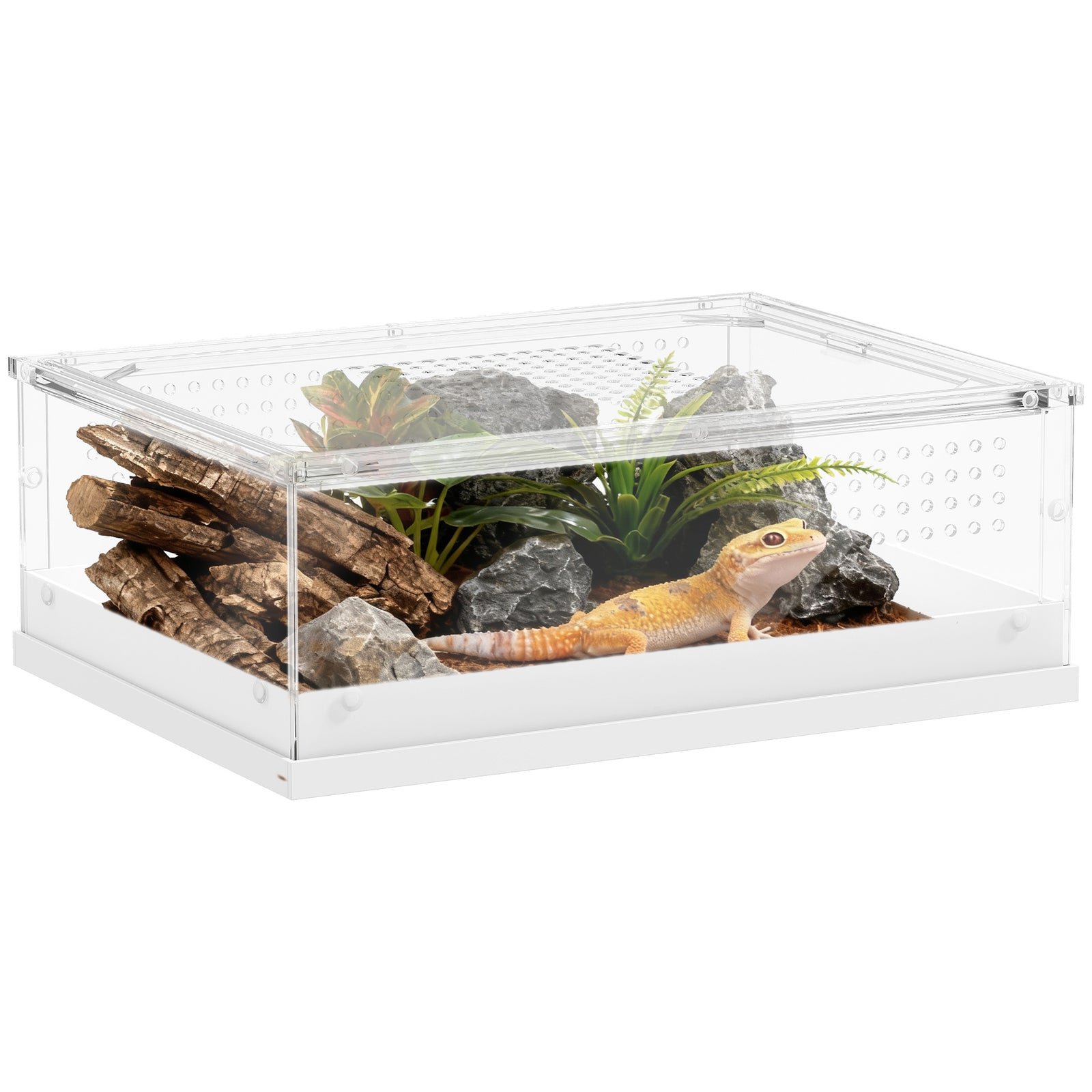Reptile Terrarium, Vivarium Acrylic For Snake, Gecko | Large | Clear