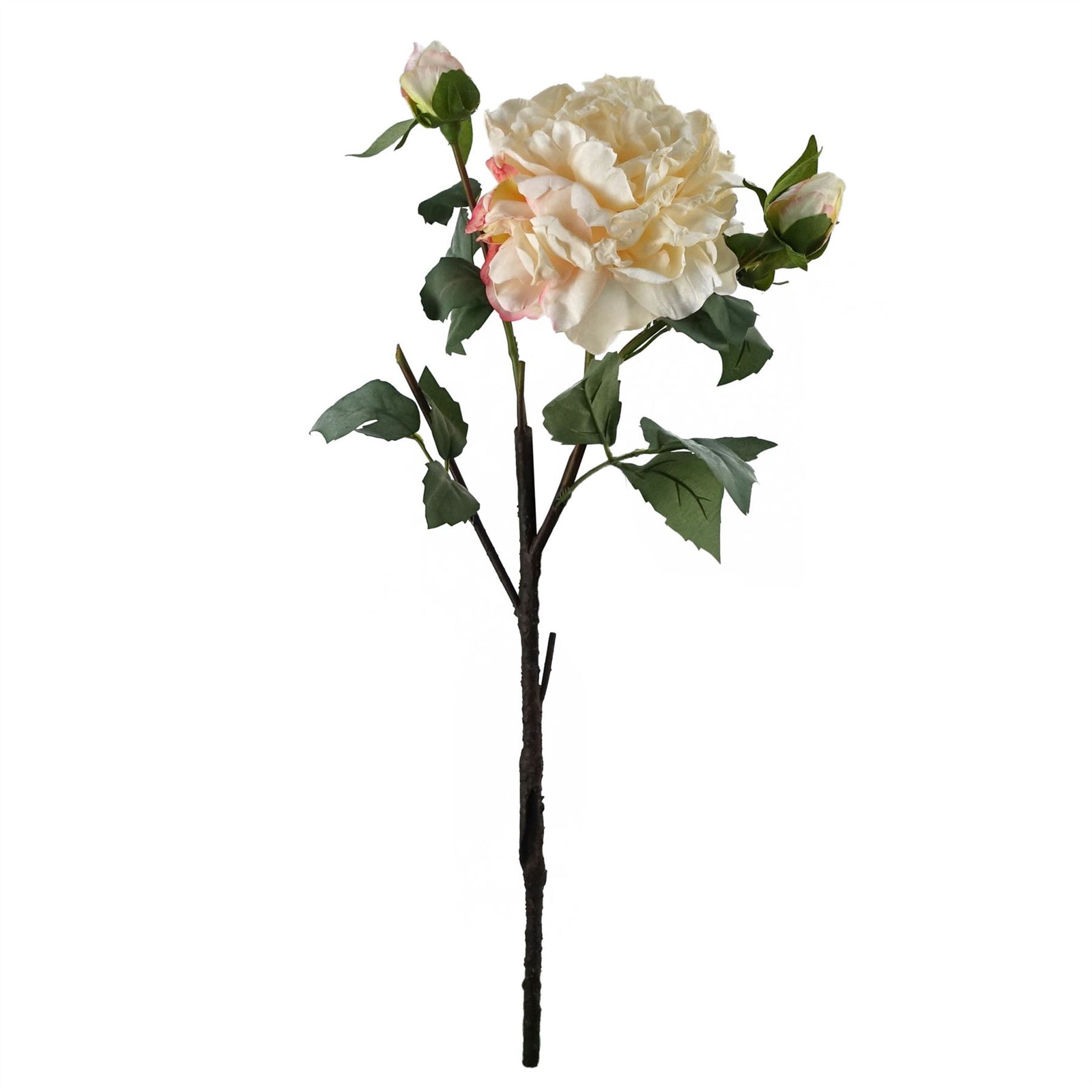 6 X 60cm Peony Artificial Flower Cream 6 Flowers 18 Buds
