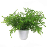 Artificial 30cm Potted Southern Wood Fern
