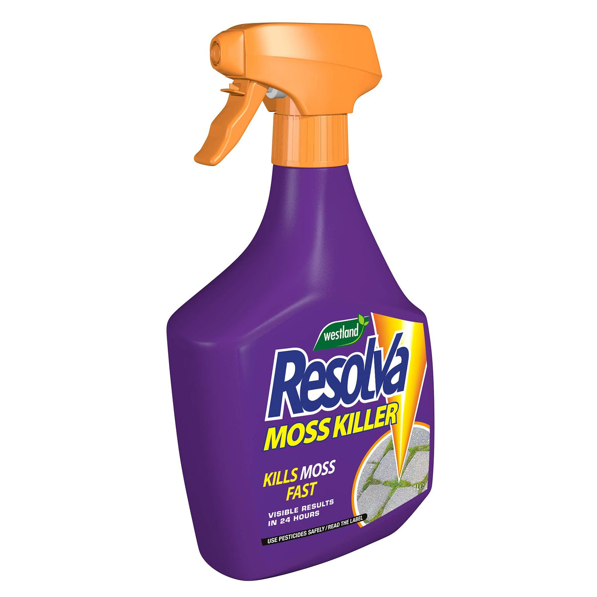 Moss Killer Ready To Use | Set of 2
