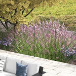 Fencing Panels 43in X 11.4ft Bed Border, Swirls