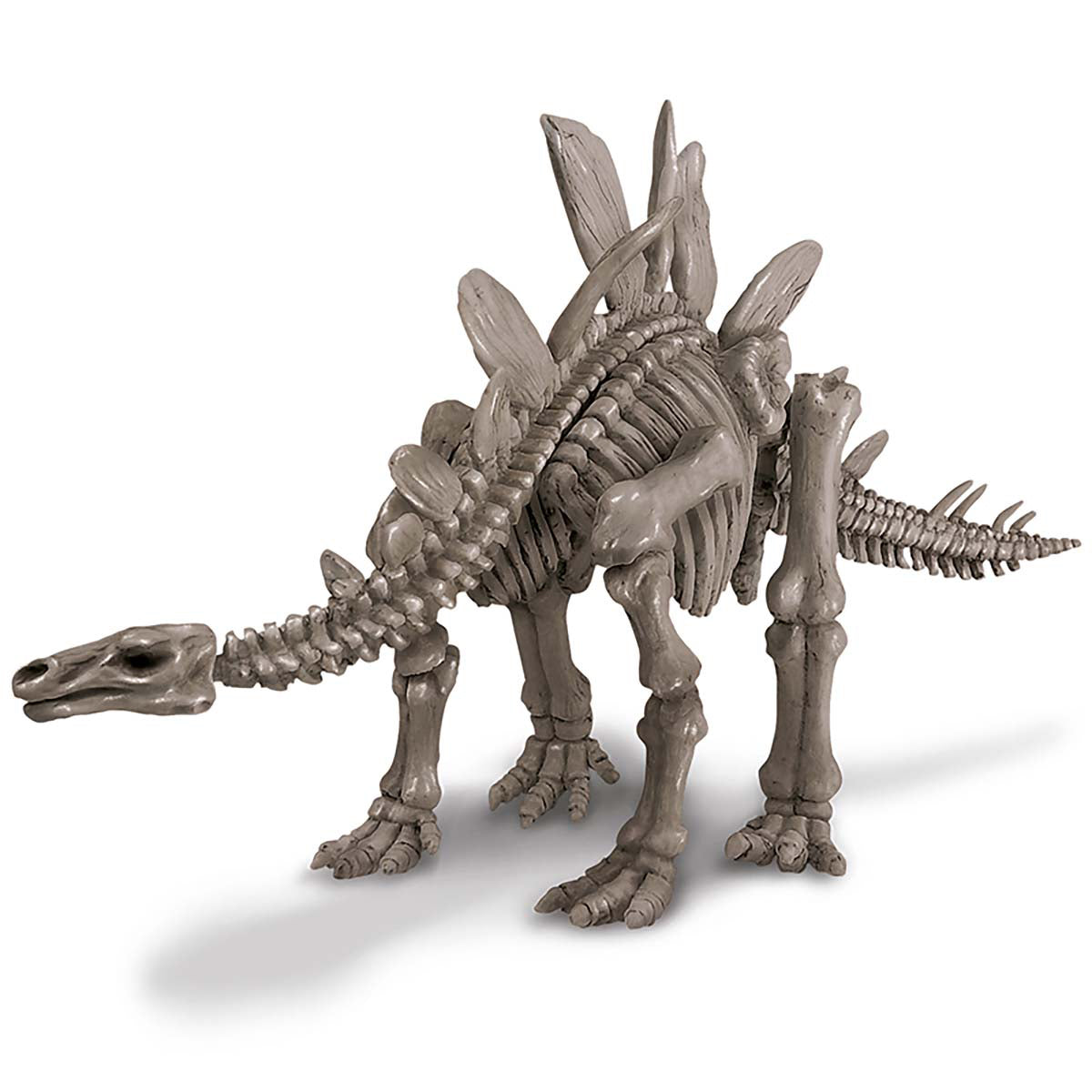 4M Kidzlabs - Dig A Dinosaur Skeleton - Stegosaurus