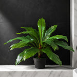 Artificial 60cm Bushy Large Bird's Nest Fern Plant