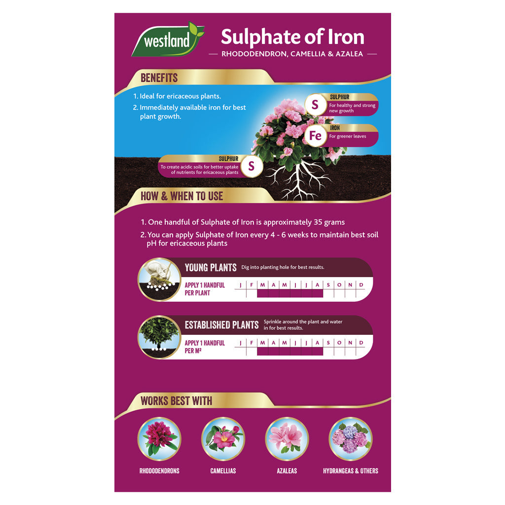 Ericaceous Iron Sulphate Granules | 1.5kg