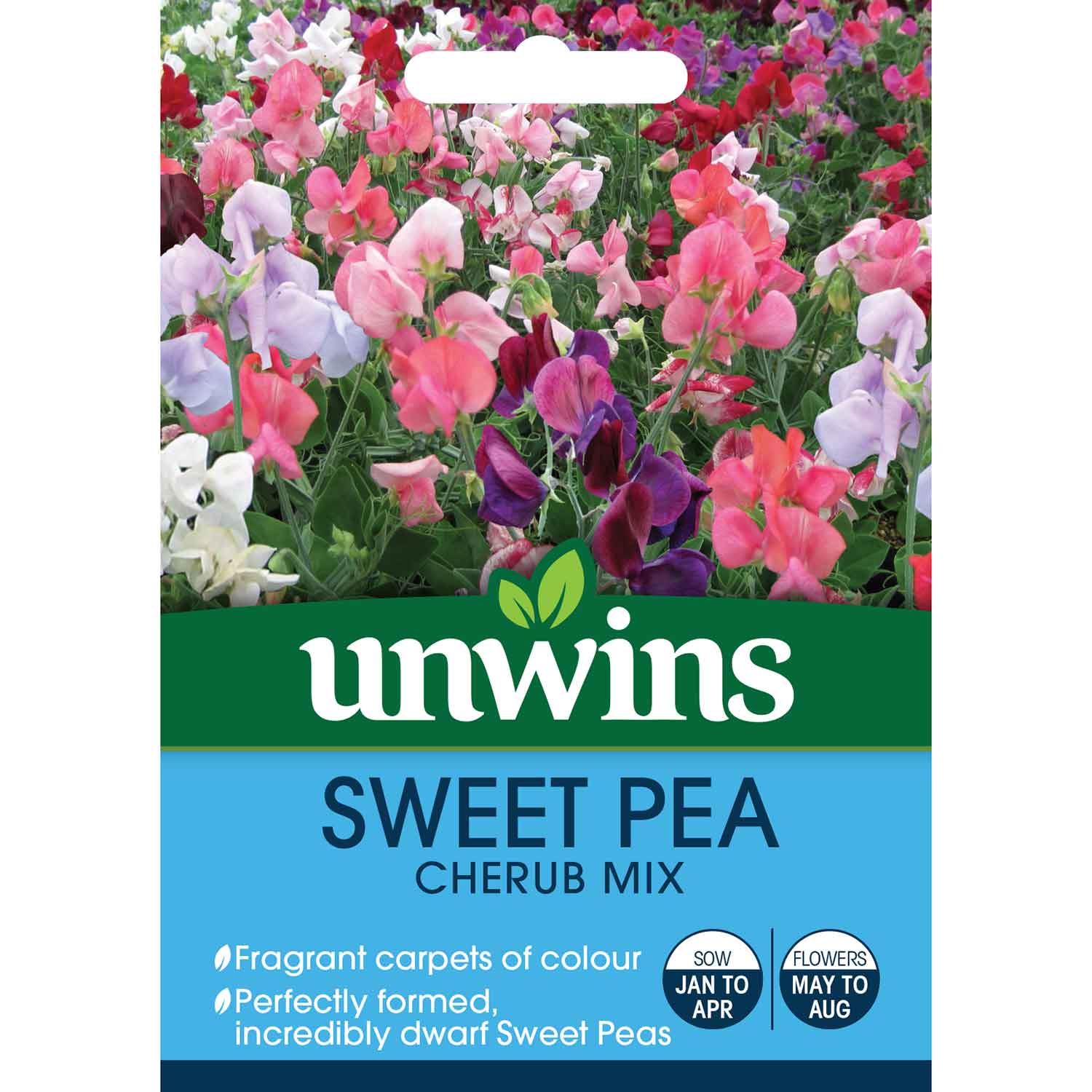 Sweet Pea Cherub Mix Seeds | 10 Seeds