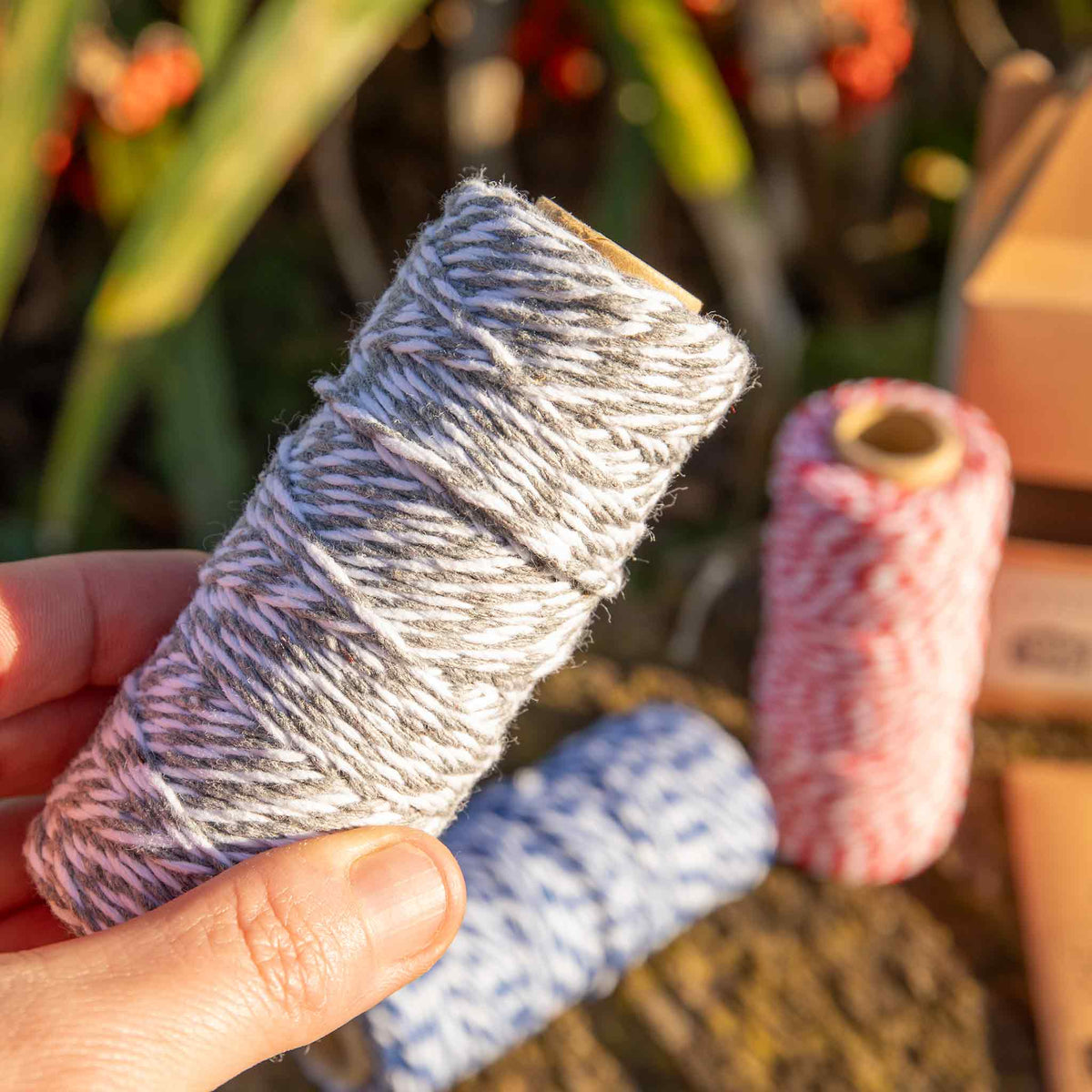 Dig For Victory Cotton Twine Set | Set of 3