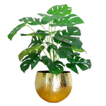 60cm  Realistic Artificial Monstera Cheese Plant