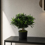 Artificial 40cm Podocarpus Bush Plant
