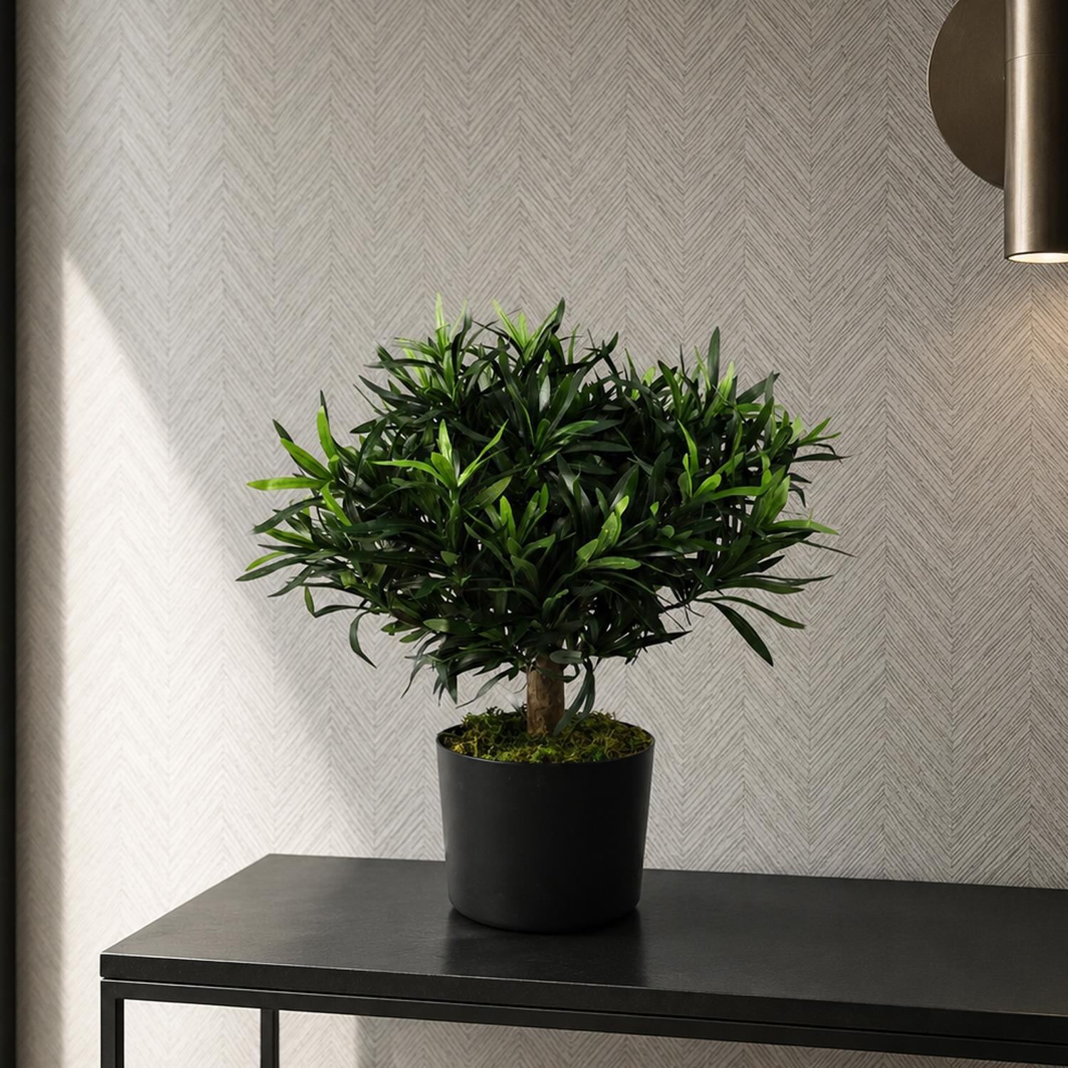Artificial 40cm Podocarpus Bush Plant
