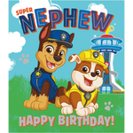 Nephew' Birthday Card Official Product