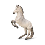 CollectA Lipizzaner Stallion Dapple Grey
