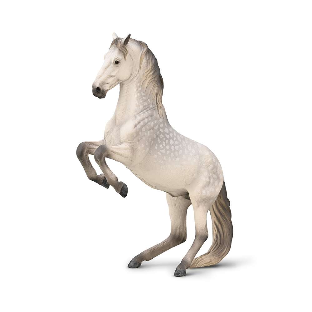 CollectA Lipizzaner Stallion Dapple Grey