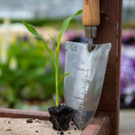 Sweetcorn 'swift' Seedlings | 16 x Pro Grower Plugs | Yellow