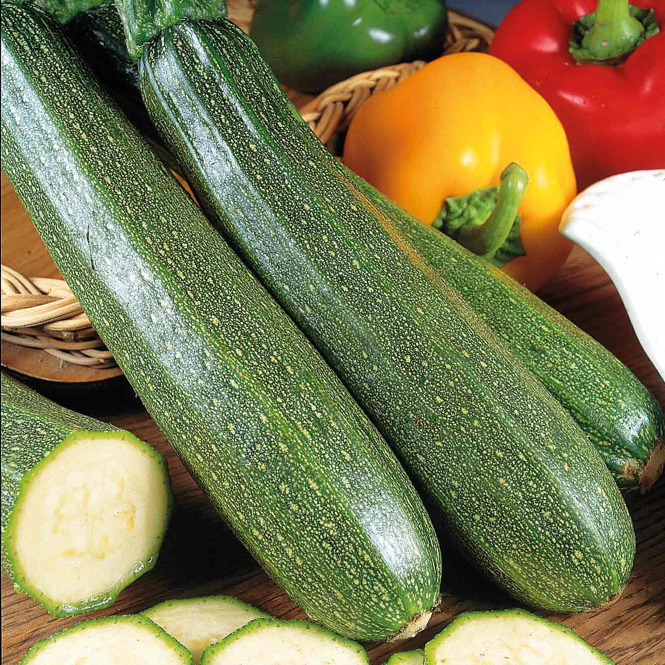 Courgette (zucchini) | 6 x Jumbo Plugs | Green