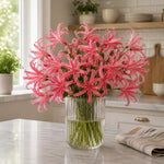Amarine Tubergenii 'belladiva Anastasia' - 2 Litre Pot | Set of 1 | Pink